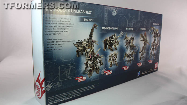 TF4 Dinobots Platinum Edition Unleashed Shared BBTS Exclusive 5 Pack  (6 of 87)